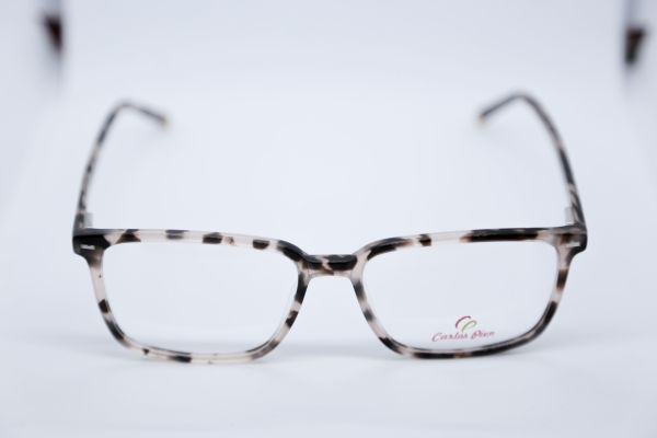 CARLOS PIEN CP141 C4 51